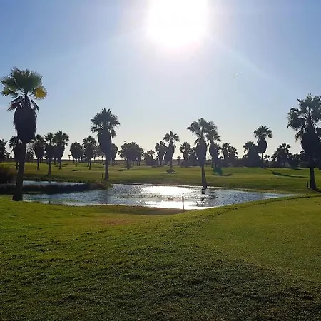 2 Terrace Town House Lejlighed