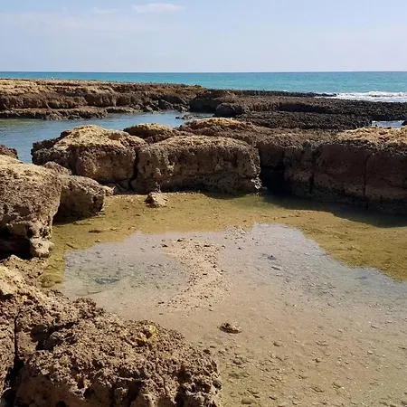 Lejlighed 2 Terrace Town House